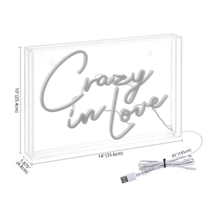 Crazy X 10" Contemporary Glam Acrylic Box USB Operated LED Neon Light