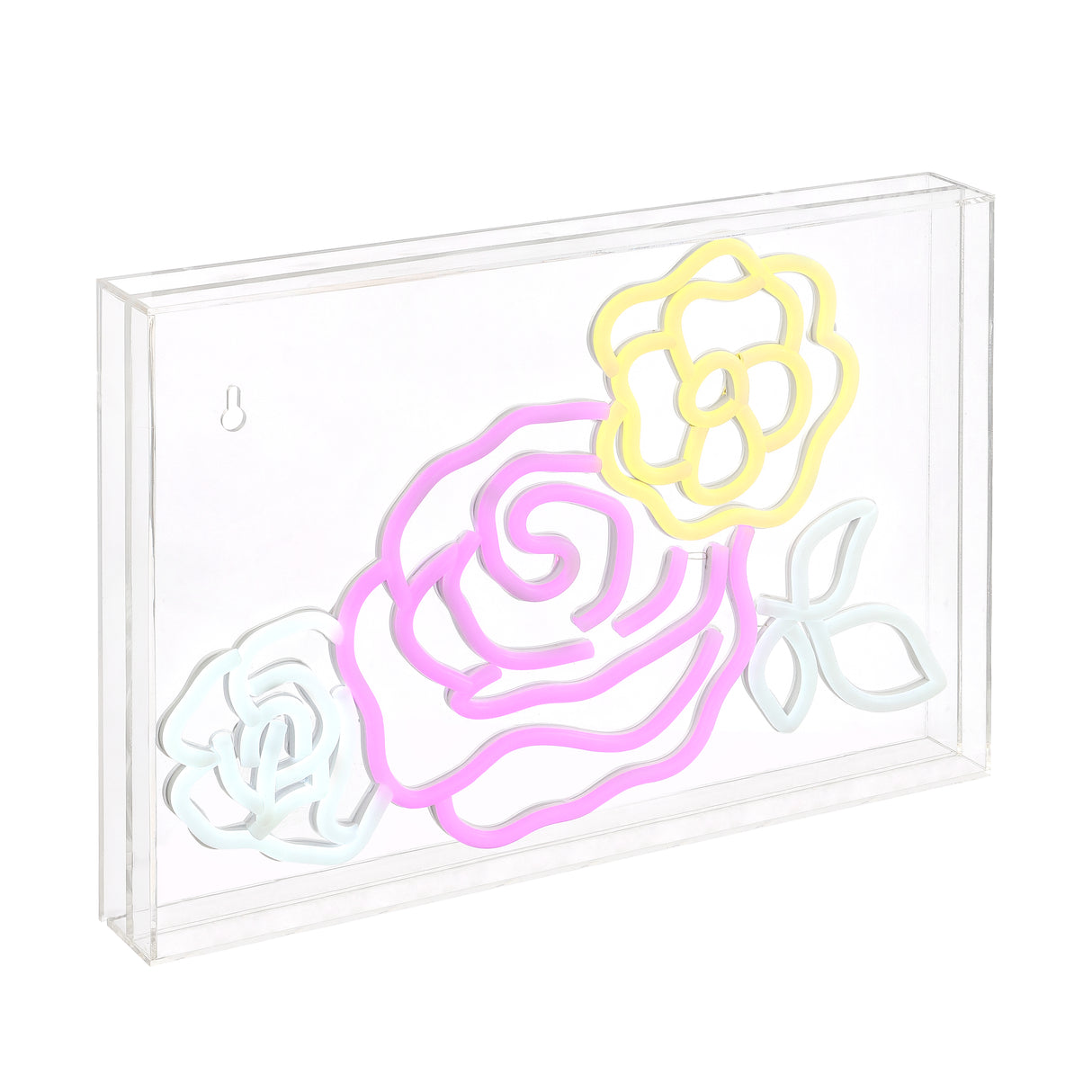 Crowd X 10.3" Contemporary Glam Acrylic Box USB Operated LED Neon Light