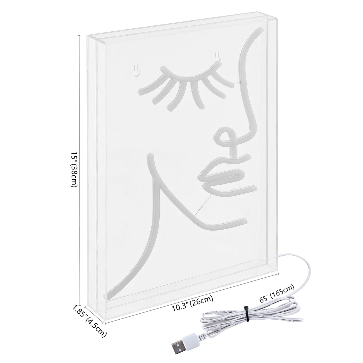 Half-Face X 15" Contemporary Glam Acrylic Box USB Operated LED Neon Light