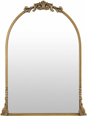 Nayudupet Accent Mirror