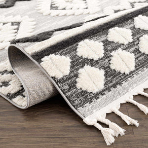 Dinganen High/Low Pile Area Rug