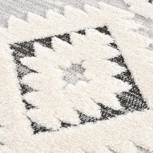 Dinganen High/Low Pile Area Rug
