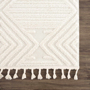 Manyas 3D Bone Area Rug with Tassels