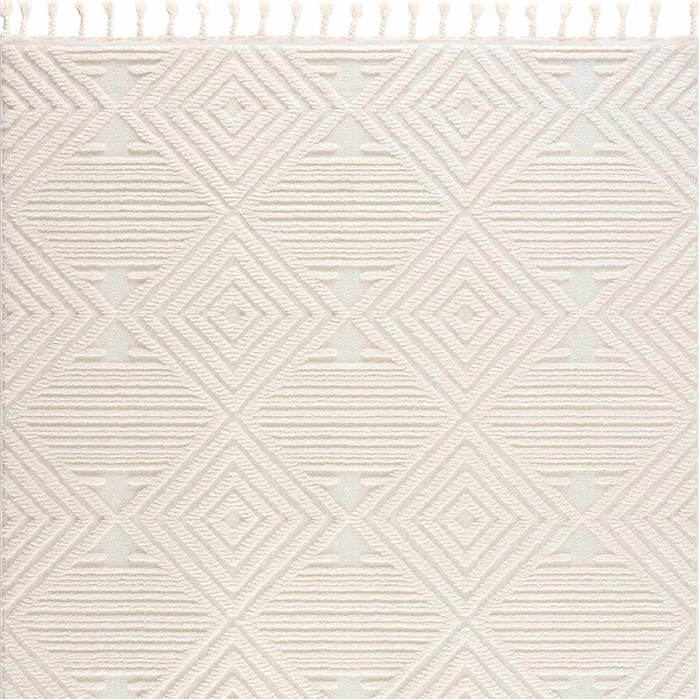 Manyas 3D Bone Area Rug with Tassels