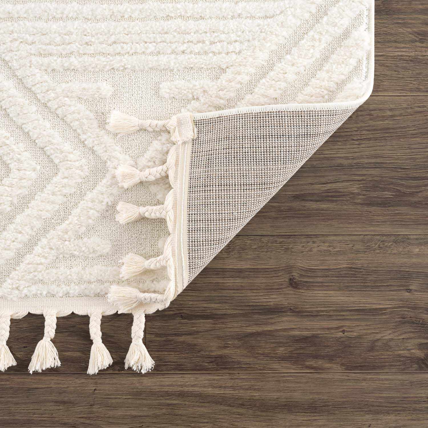 Manyas 3D Bone Area Rug with Tassels