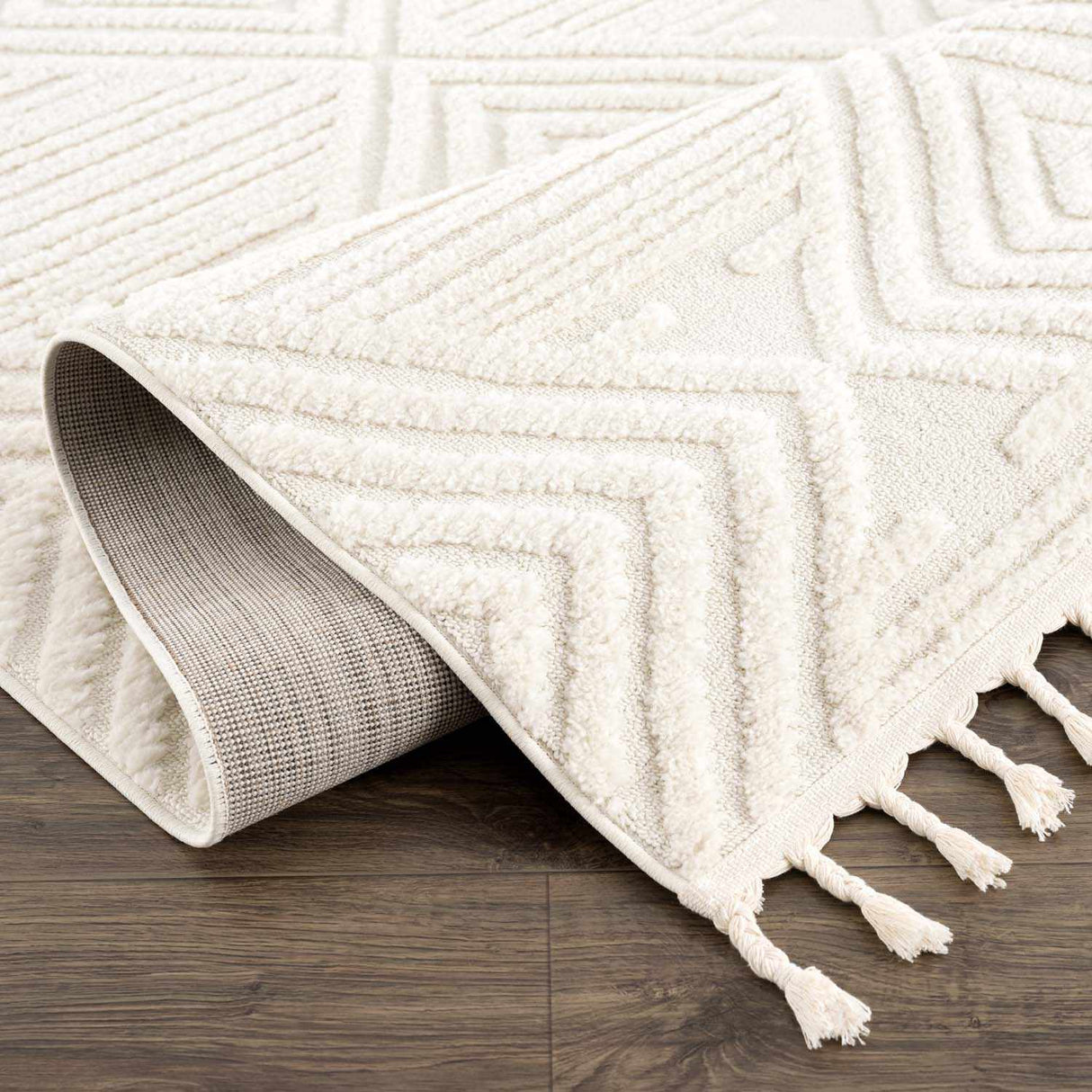 Manyas 3D Bone Area Rug with Tassels