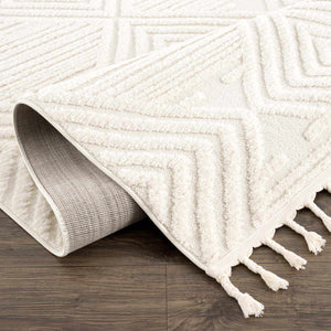 Manyas 3D Bone Area Rug with Tassels