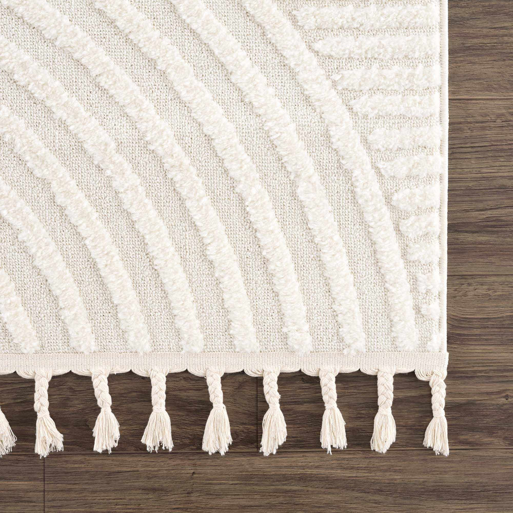Guiling 3D Rainbow Area Rug with Tassels