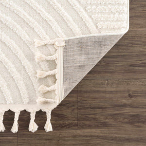 Guiling 3D Rainbow Area Rug with Tassels