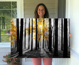 Nature Misty Foggy Autumn Forest Canvas Wall Art Print