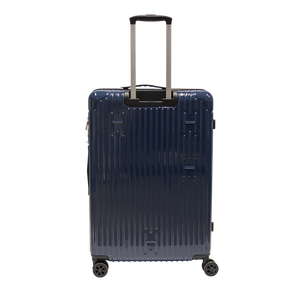 Check-In Luggage