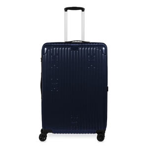 Check-In Luggage