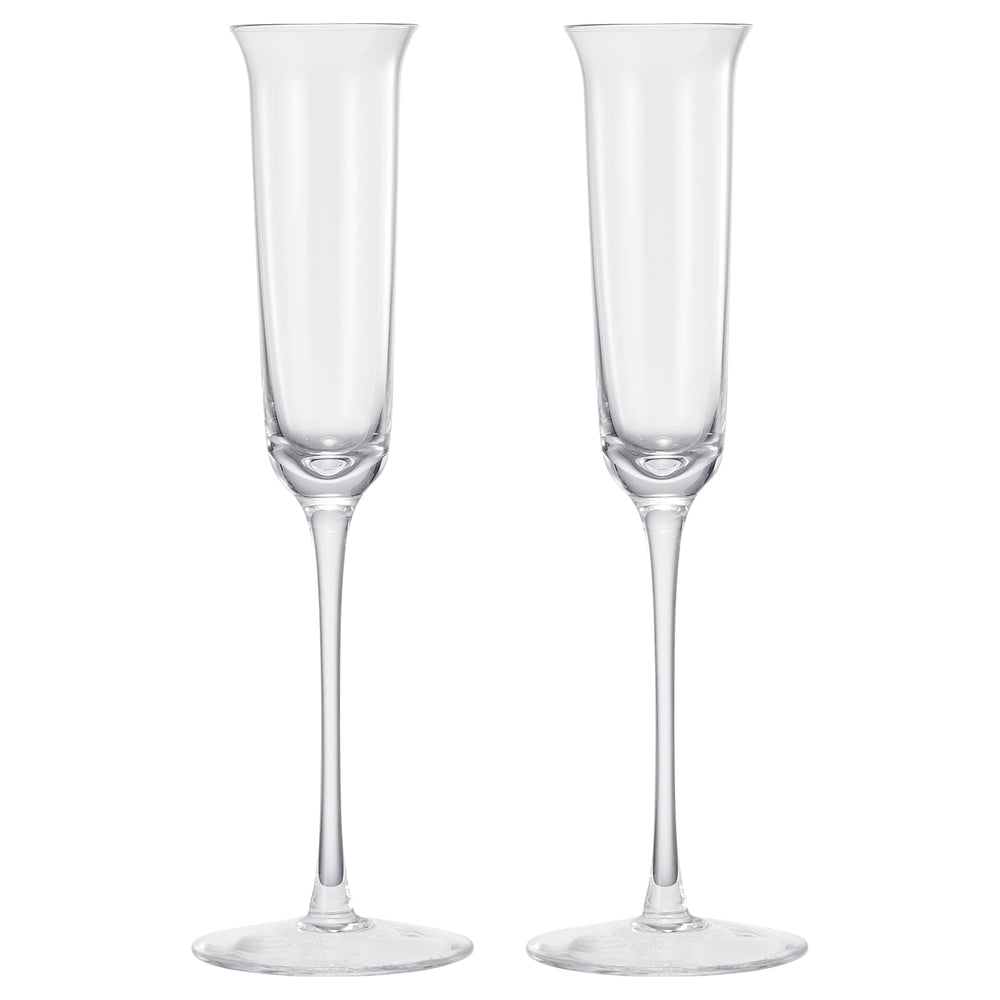 Opera Nick & Nora Champagne Flute Glassware, Set of 2