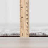 Georgiana Charcoal Area Rug