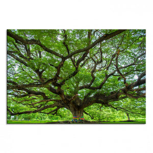 Oak Tree Wall Art Print, Forest Canvas Wall Art for Home and