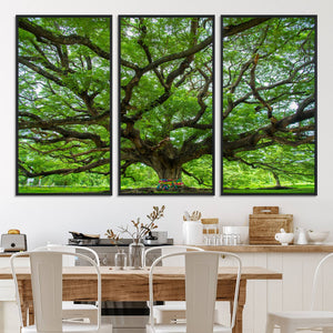 Oak Tree Wall Art Print, Forest Canvas Wall Art for Home and