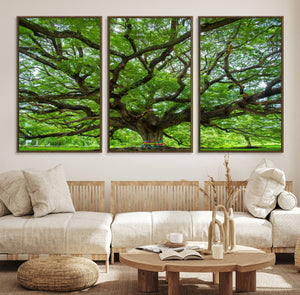 Oak Tree Wall Art Print, Forest Canvas Wall Art for Home and