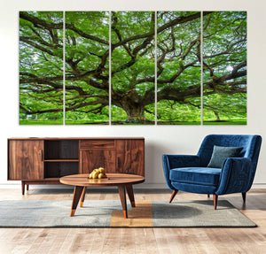 Oak Tree Wall Art Print, Forest Canvas Wall Art for Home and