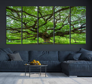Oak Tree Wall Art Print, Forest Canvas Wall Art for Home and
