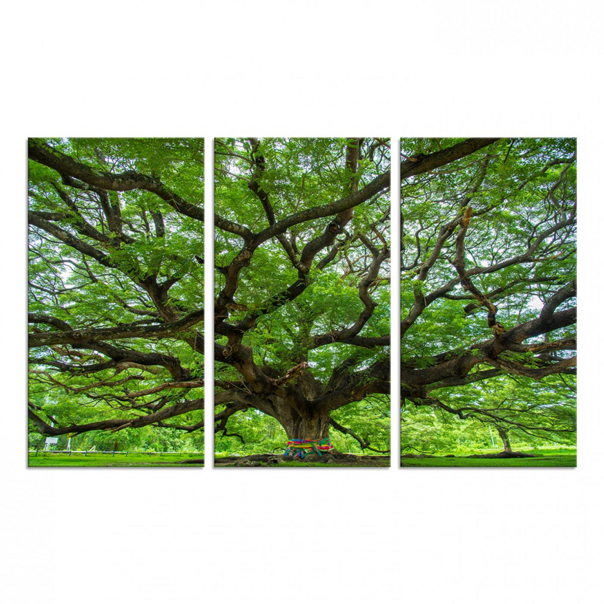 Oak Tree Wall Art Print, Forest Canvas Wall Art for Home and