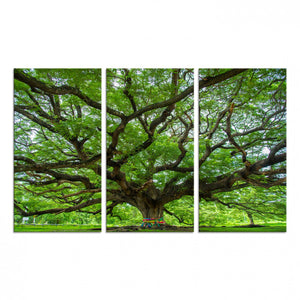 Oak Tree Wall Art Print, Forest Canvas Wall Art for Home and