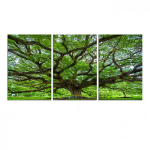 Oak Tree Wall Art Print, Forest Canvas Wall Art for Home and