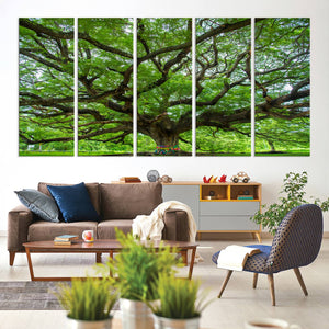 Oak Tree Wall Art Print, Forest Canvas Wall Art for Home and