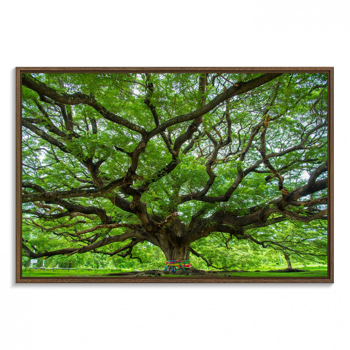 Oak Tree Wall Art Print, Forest Canvas Wall Art for Home and