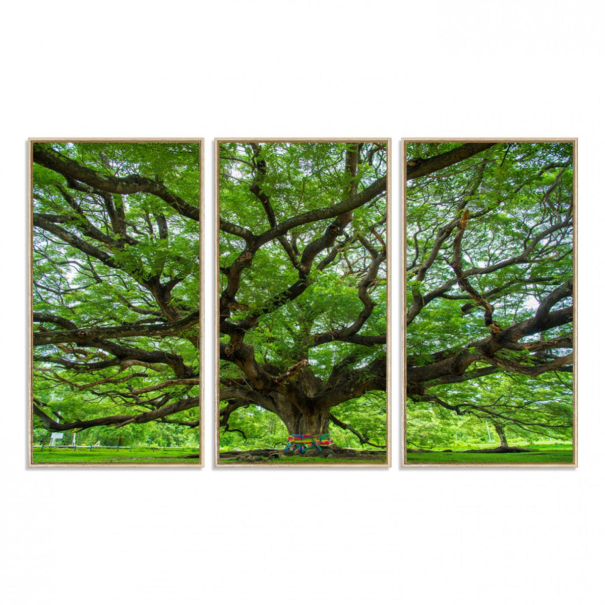 Oak Tree Wall Art Print, Forest Canvas Wall Art for Home and