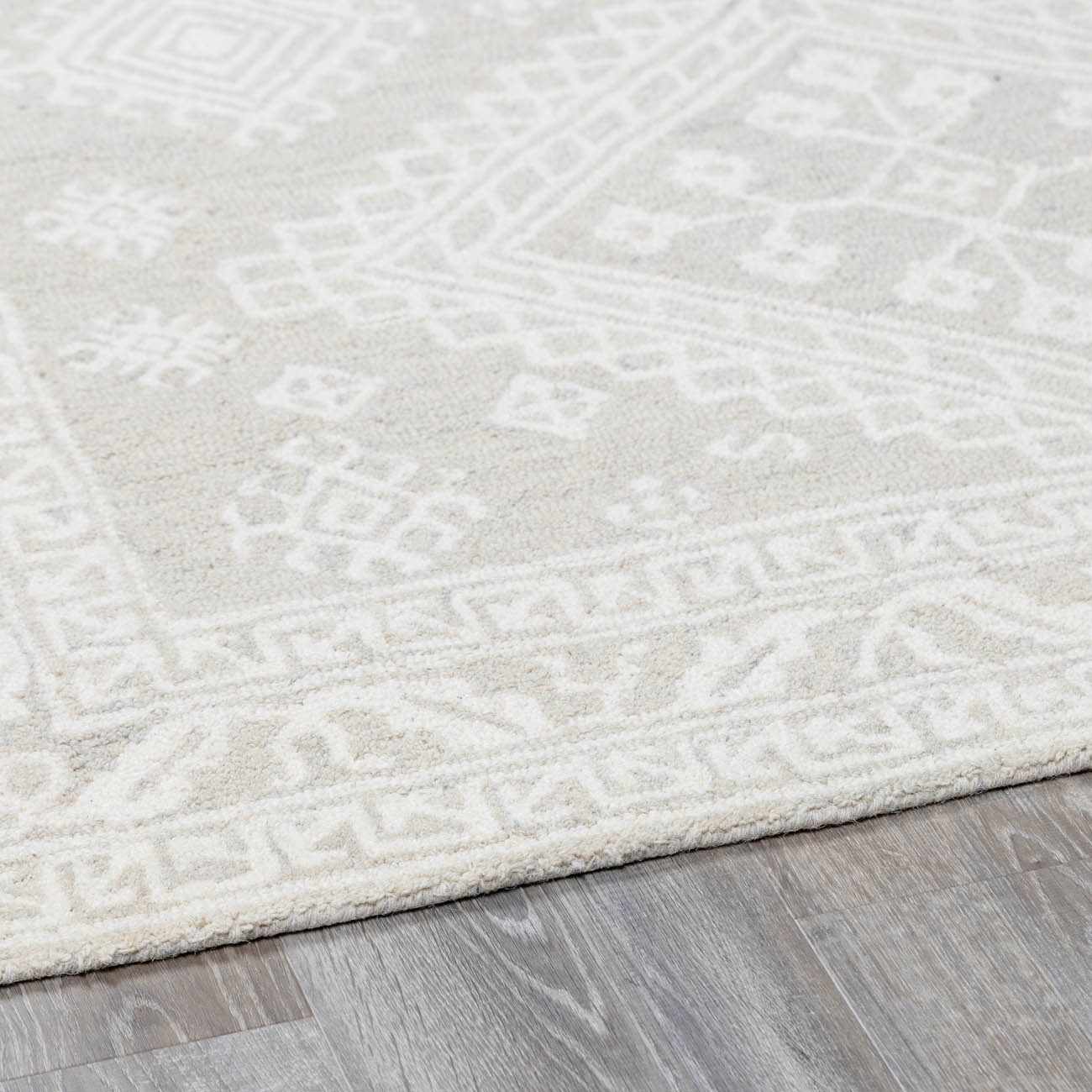 Paloma Area Rug