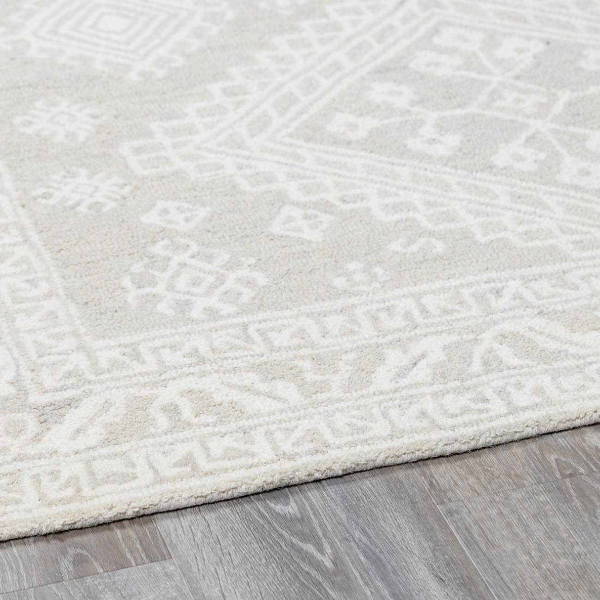 Paloma Area Rug