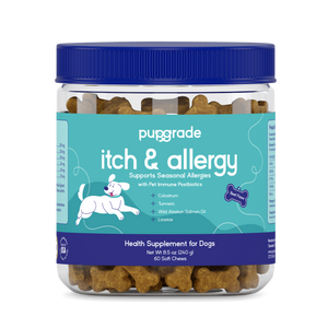 Itch & Allergy