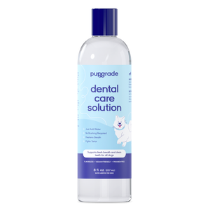 Dental Care Solution