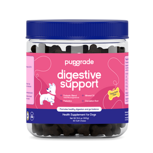 Digestive Support