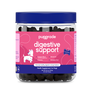 Digestive Support