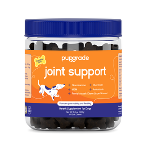 Joint Support