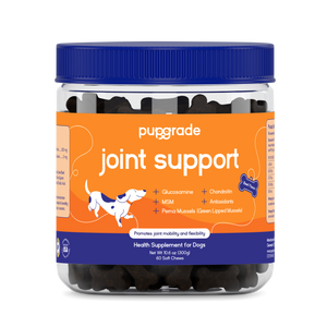 Joint Support