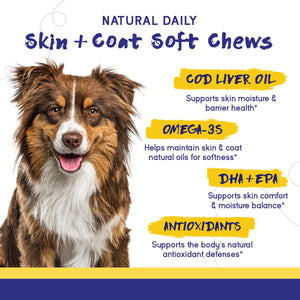 Skin & Coat Support
