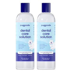 Dental Care Solution