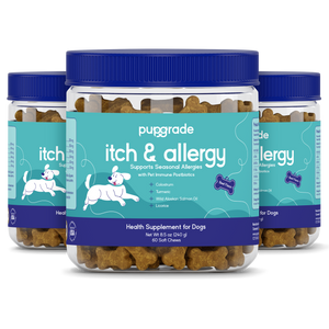 Itch & Allergy