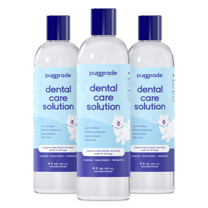 Dental Care Solution