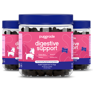 Digestive Support