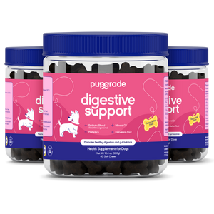 Digestive Support