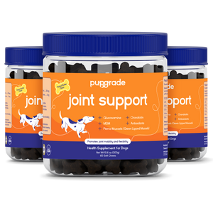 Joint Support