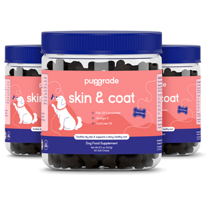 Skin & Coat Support