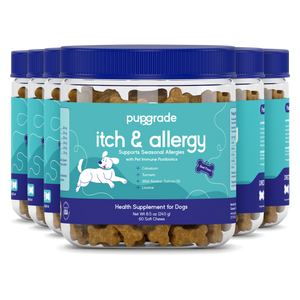 Itch & Allergy