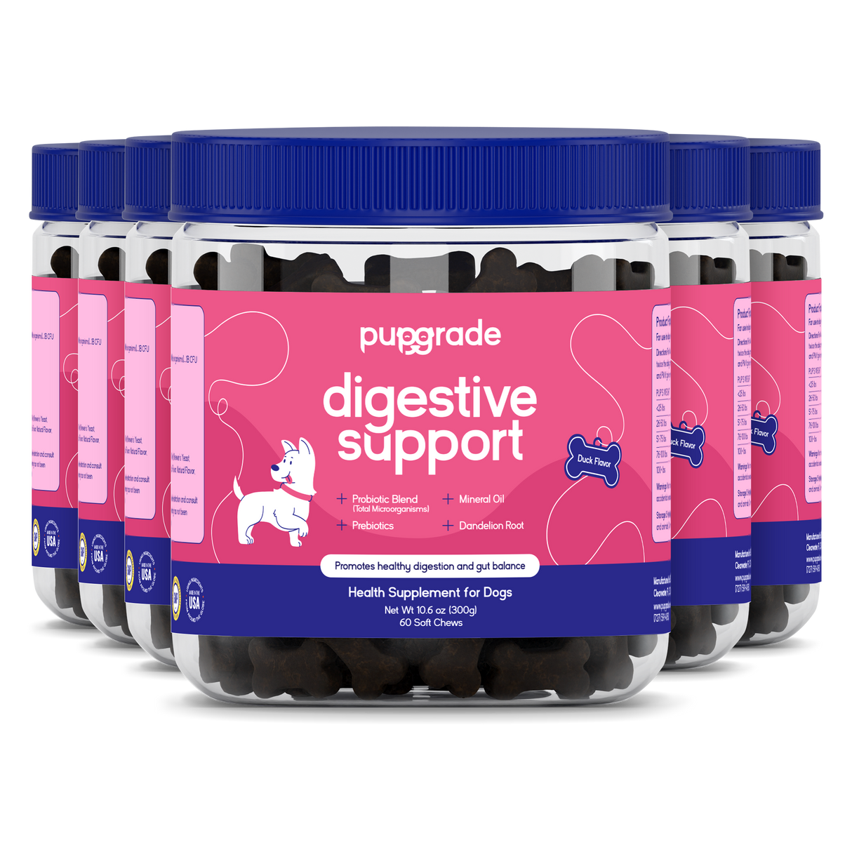 Digestive Support