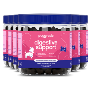 Digestive Support