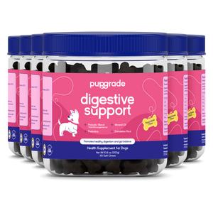 Digestive Support