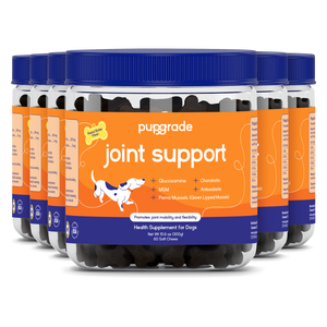 Joint Support
